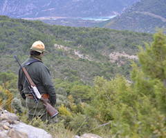 La Comunidad de Madrid aprueba la licencia que permitirá cazar en siete regiones